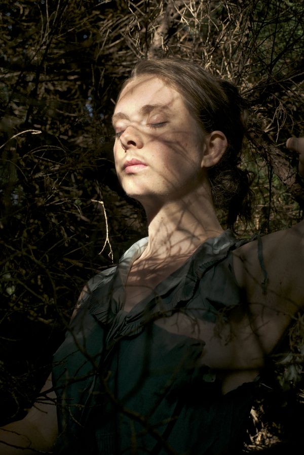 Lola Wittstamm